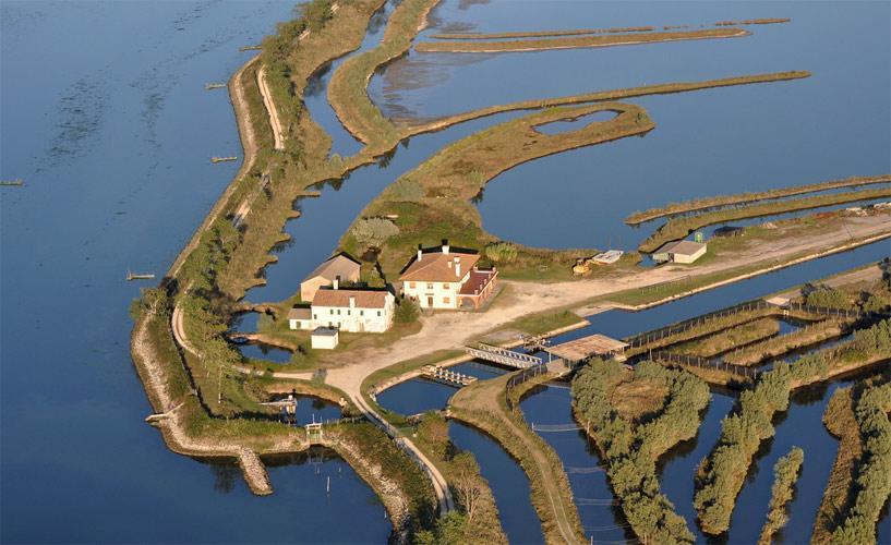 Palazzo Spada - Attico Con Terrazza Vista Fiume In Centro Codigoro Eksteriør billede